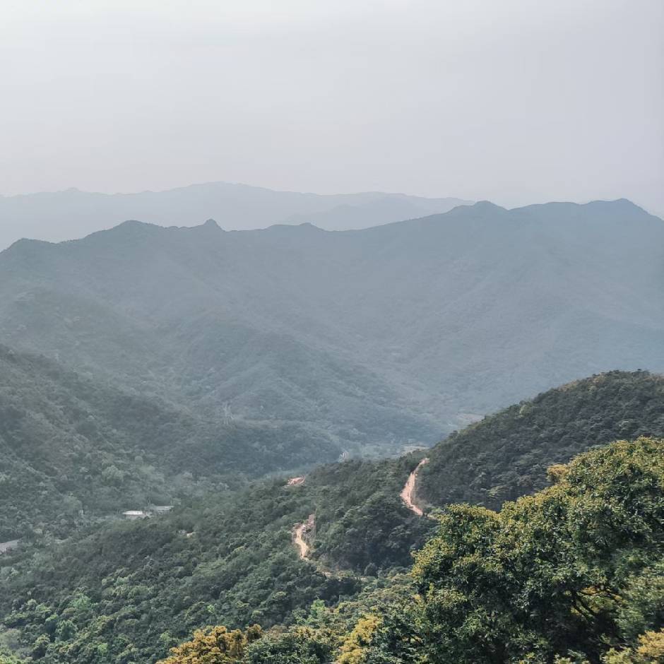 童灿